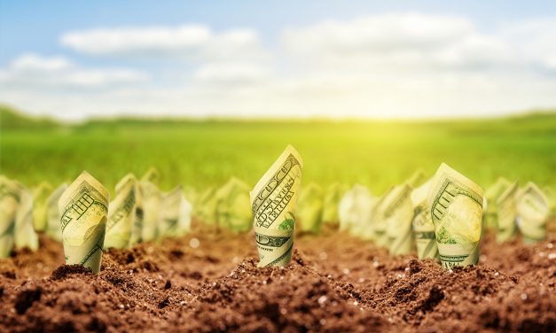 Cracking the Code – Sales Seeds vs. Sales Leads