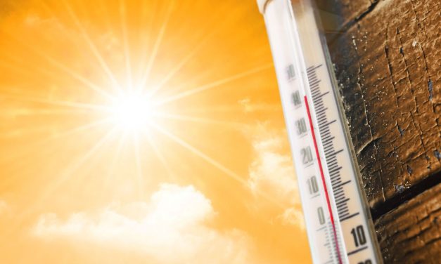 Cracking the Code – Pricing During the Summer Season