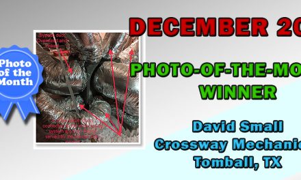 December 2019 Photo-of-the-Month Contest Winner