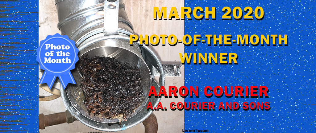 March 2020 Photo-of-the-month winner