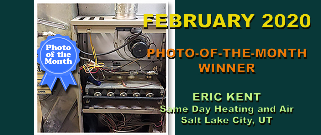 February 2020 Photo-of-the-Month Winner