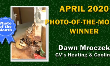 April 2020 Photo-of-the-Month Winner
