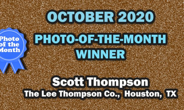 OCTOBER 2020 Photo-of-the-Month Winner