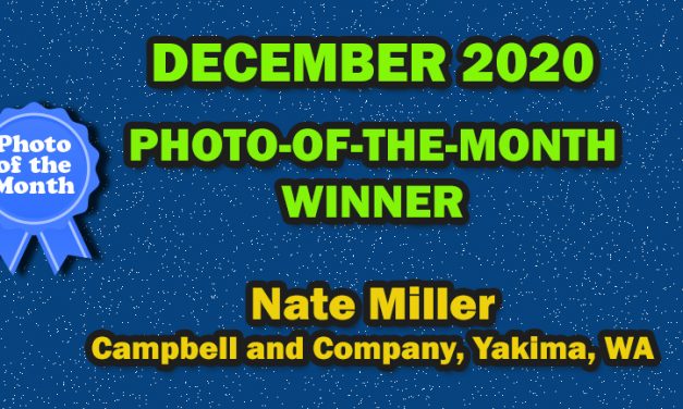 December 2020 Photo-of-the-month Winner