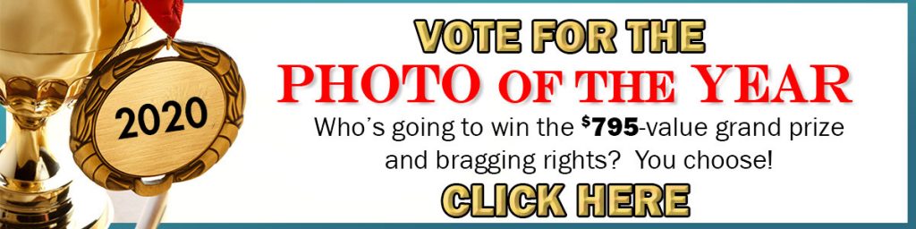 2020 Photo-of-the-Year Competition Call for Votes