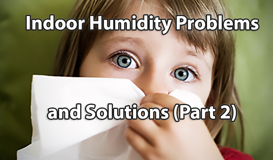 Indoor Humidity Problems and Solutions (Part 2)