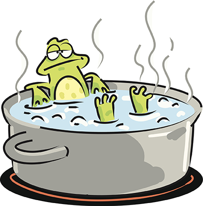 frog in hot water