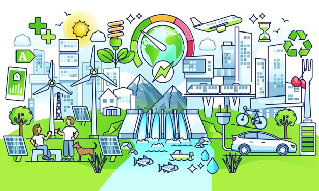 How to Capitalize on the Electrification Movement